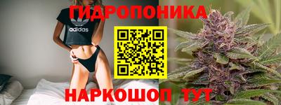 СК Лесосибирск